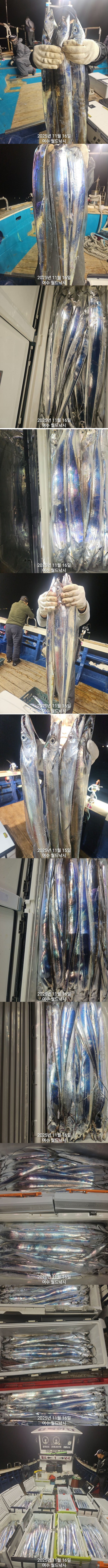 65d703b0cc8333e3d14f2b85dc6aa042_1763251283_881.jpg 65d703b0cc8333e3d14f2b85dc6aa042_1763251283_881.jpg