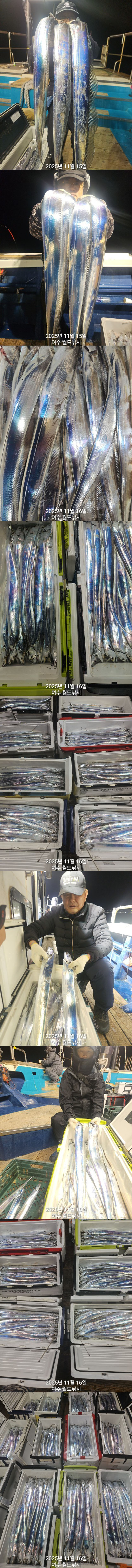 65d703b0cc8333e3d14f2b85dc6aa042_1763251286_6576.jpg 65d703b0cc8333e3d14f2b85dc6aa042_1763251286_6576.jpg