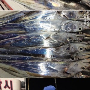Image 636