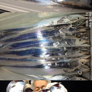 Image 648